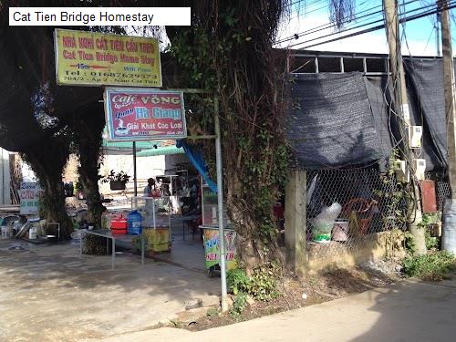 Hình ảnh Cat Tien Bridge Homestay