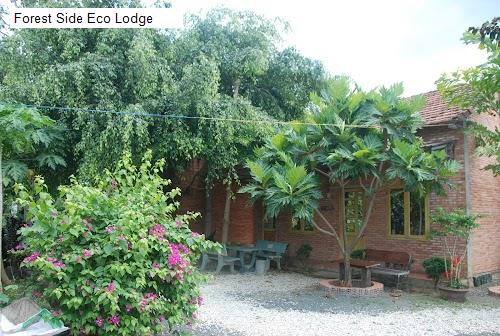 Forest Side Eco Lodge