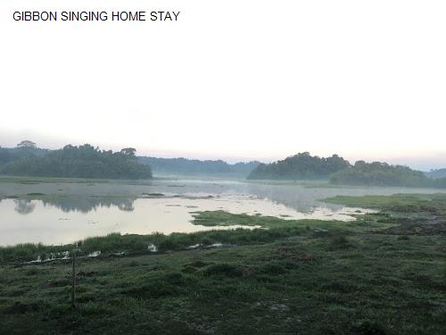 Hình ảnh GIBBON SINGING HOME STAY