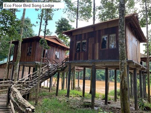 Eco Floor Bird Song Lodge