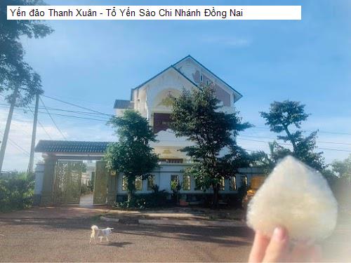 Nội thât Yến đảo Thanh Xuân - Tổ Yến Sào Chi Nhánh Đồng Nai
