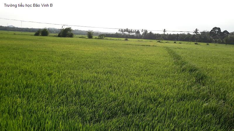 Trường tiểu học Bảo Vinh B