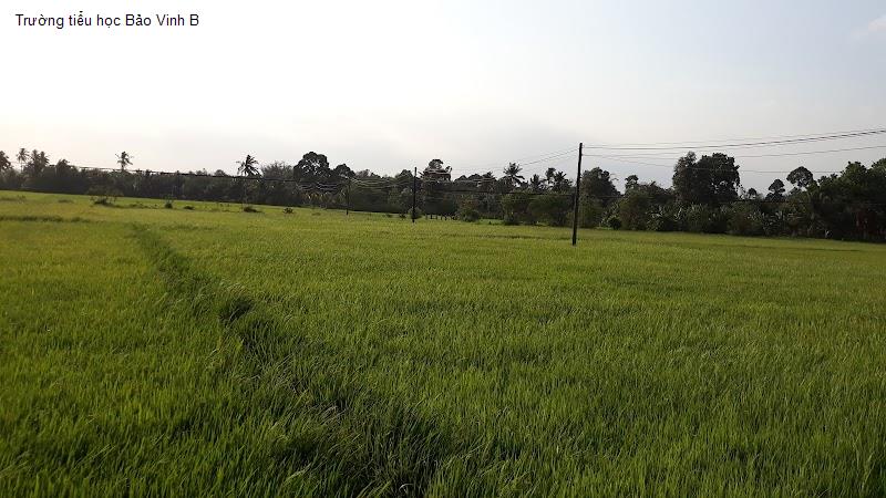 Trường tiểu học Bảo Vinh B