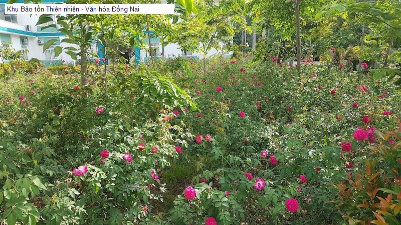 Khu Bảo tồn Thiên nhiên - Văn hóa Đồng Nai