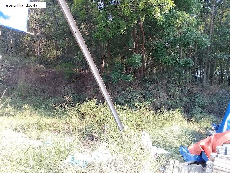 Tượng Phật dốc 47