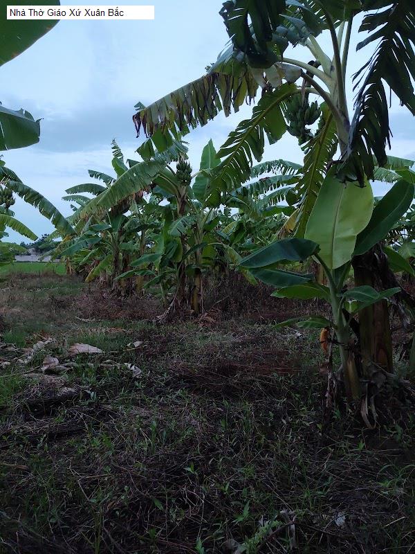 Nhà Thờ Giáo Xứ Xuân Bắc