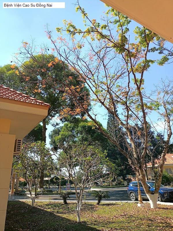 Bệnh Viện Cao Su Đồng Nai