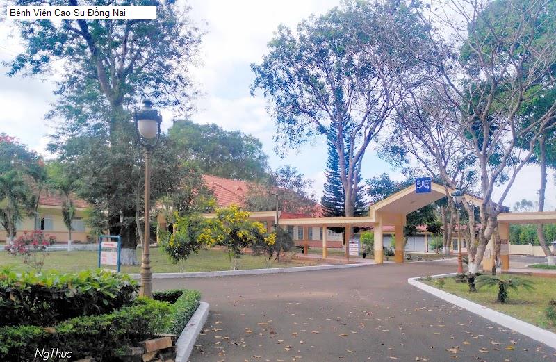 Bệnh Viện Cao Su Đồng Nai
