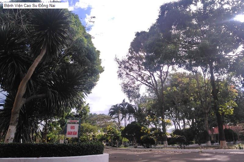 Bệnh Viện Cao Su Đồng Nai
